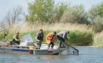 Вылов рыбы учёными. Фото Матишова Геннадия, ЮНЦ РАН