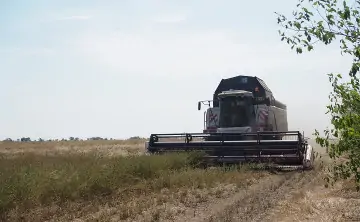 Комбайн. Фото donnews.ru