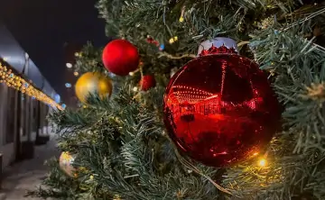 Новогодние шары. Фото donnews.ru