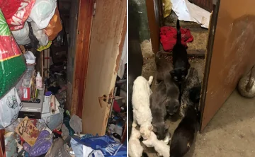 Захламлённая квартира. Фото из личного архива Марины Ковалевой.