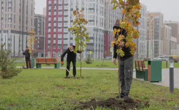 День древонасаждения, фото ГК «ЮСИ»