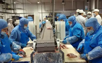 Вьетнамец приехал в Россию на заработки по приглашению компании, но затем пропал. Фото donland.ru