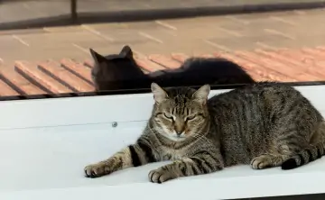 Потепление станет заметно к концу недели. Фото donnews.ru