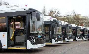 Автобусы. Фото donland.ru