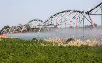 Оросительная система. Фото Дмитрия Рогулина, ТАСС