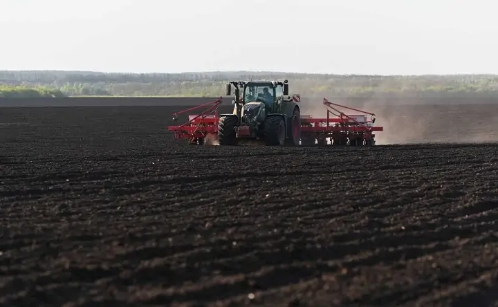 В поле. Фото donland.ru