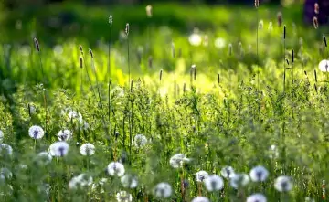 Природа. Фото Дениса Демкова