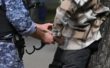 Задержание. Фото Максима Блинова, РИА Новости