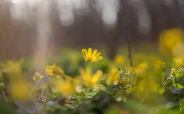 Весна. Фото Дениса Демкова