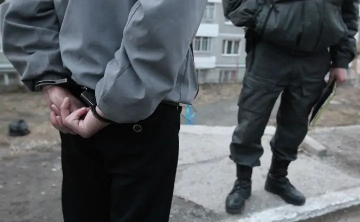Задержание. Фото Виталия Анькова, РИА Новости
