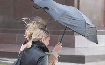 Ветер и дождь. Фото Алексея Никольского, РИА Новости