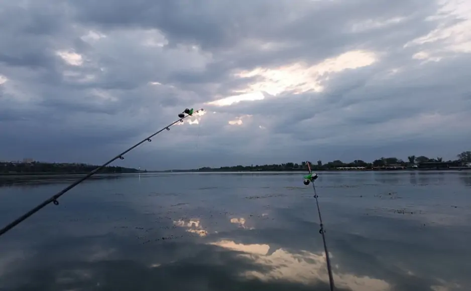 Рыба. Фото donnews.ru