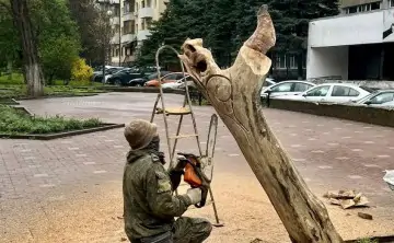 Ростовчане потребовали посадить новые деревья, а не создавать \