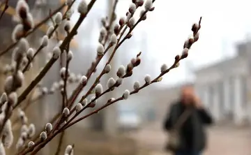 Погода снова огорчит жителей Ростовской области. Фото Сергея Мальгавко, ТАСС