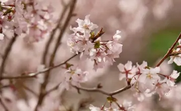 В регионе станет теплее на несколько градусов. Фото парка "Лога"