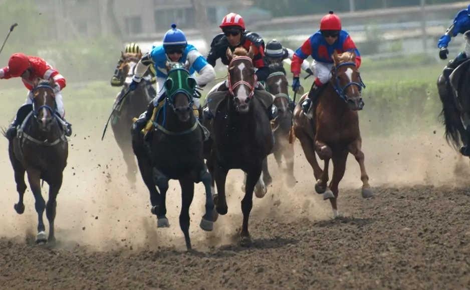 Фото Ростовского ипподрома