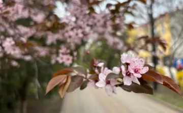 В Ростовской области потеплеет до +20 °С, но дожди не уйдут. Фото donnews.ru