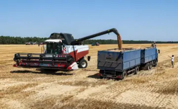 Зерно. Фото Эрика Романенко, ТАСС