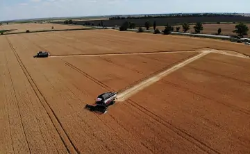 Поле. Фото пресс-службы губернатора Ростовской области