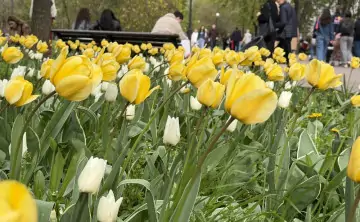 В Ростовской области на новой неделе будет дождливо и холодно. Фото donnews.ru
