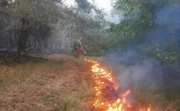 Фото для иллюстрации, Усть-Донецкое ГАУ Ростовской области \