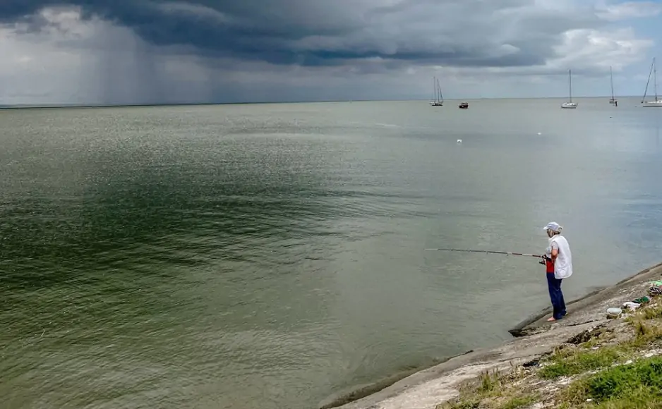 Деньги со штрафов за браконьерство должны идти  на восстановление рыбы. Фото 