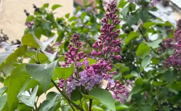 В регионе немного распогодится, но дожди пока не уйдут. Фото donnews.ru