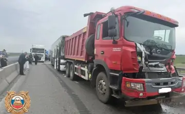 14-километровая пробка образовалась на М4 "Дон". Фото Госавтоинспекции Ростовской области