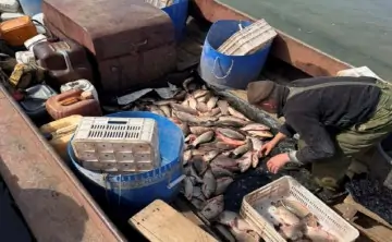 Браконьеры выстроили многомиллионный бизнес на вылове рыбы. Фото пресс-службы ГУ МВД России по Ростовской области