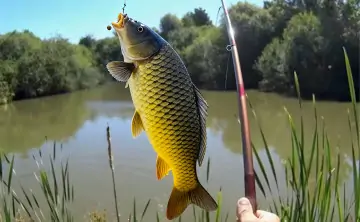 Рыба. Фото предоставлено ООО «Медицина и только»