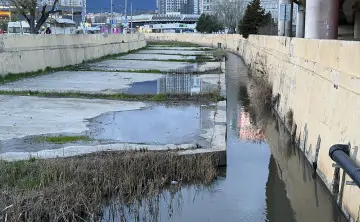 В образцах из Темерника обнаружили опасный канцероген. Фото donnews.ru