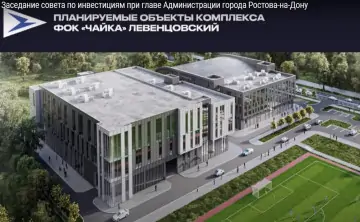 Проект не будет реализован в полном объёме. Фото: Скриншот с видеотрансляции Совета по инвестициям Ростова
