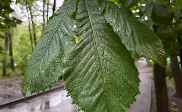 Температура не поднимется выше +21 °С. Фото donnews.ru