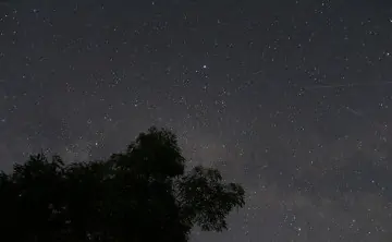 Их лучше наблюдать в предрассветные часы с 2:00 до 4:00. Фото Николая Дёмина
