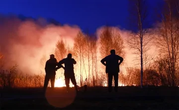 Фото для иллюстрации Максима Слуцкого, ТАСС