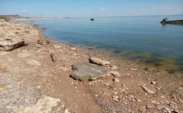 Фото из канала Светланы Камбуловой