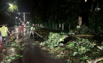 Семь человек госпитализированы. Фото из telegram-канала Александра Скрябина