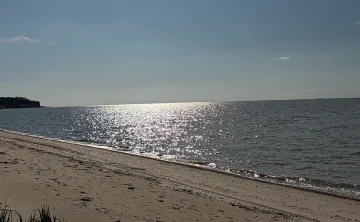 Рыба задыхается в воде из-за жары. Фото donnews.ru