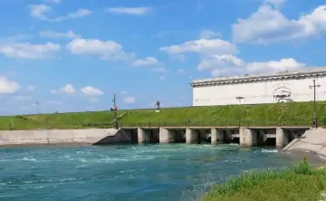 При заморах сильнее всего страдает молодая рыба. Фото donland.ru