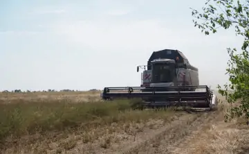 Недостаточное количество осадков побудило аграриев обратиться в региональный минсельхоз с просьбой вызвать искусственные дожди. Фото donnews.ru