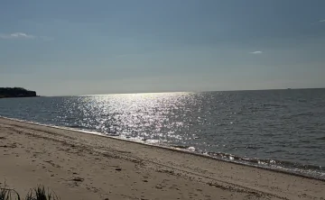 Вода в Таганрогском заливе признана грязной. Фото donnews.ru