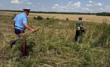 Для иллюстрации. Фото правительства Ростовской области