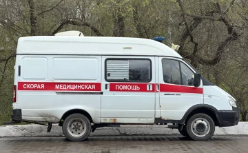 Одна девочка в тяжёлом состоянии. Фото donnews.ru