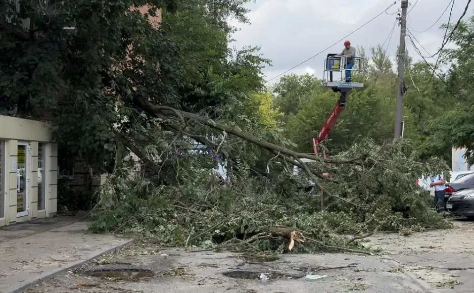 Учёный уточнил, что на Ростов обрушился шквал. Фото donnews.ru