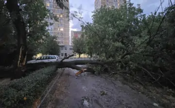 Электроснабжение восстановили во всех районах города. Фото donnews.ru