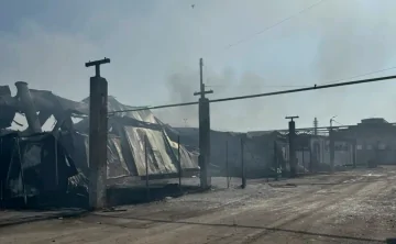 Вредные вещества не превышают норму. Фото пресс-службы губернатора Ростовской области