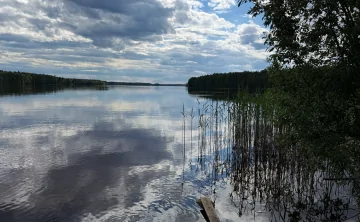 Ночью на севере Ростовской области будут заморозки. Фото donnews.ru