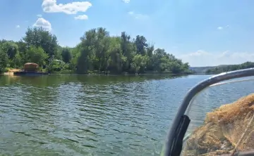 В последние годы промысловый вылов берша в Цимлянском водохранилище заметно сократился. Фото пресс-службы ВНИРО