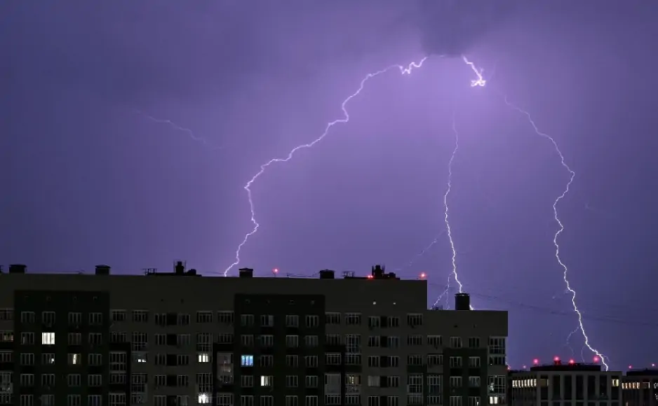 Фото Алексея Мельгавко, РИА Новости