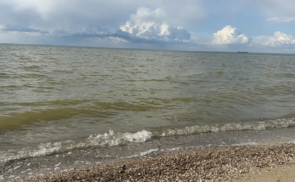 Азовское море вступило в затяжную фазу осолонения. Фото donnews.ru
